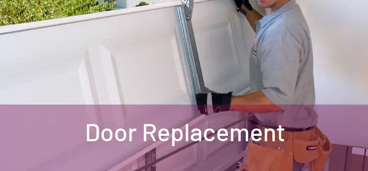  Door Replacement 